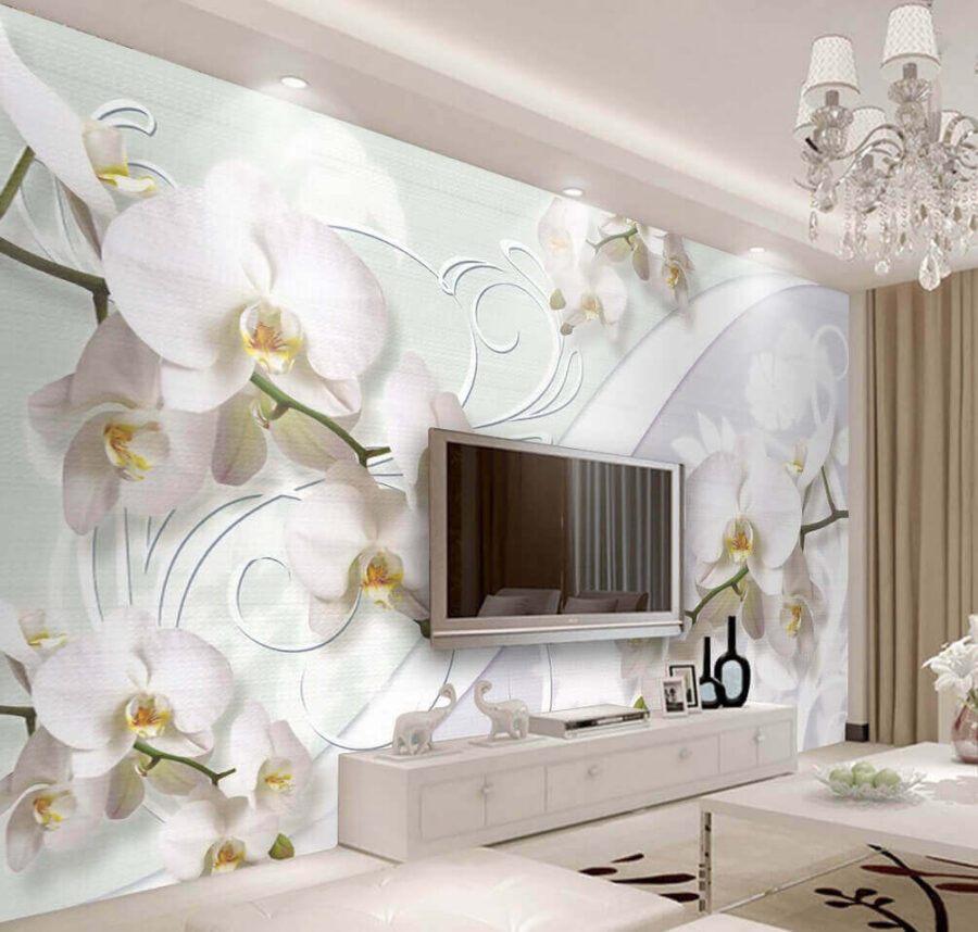 Orchidées délicates aux teintes douces