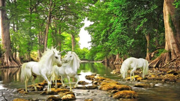 Groupe de licornes blanches dans une rivière Groupe de licornes blanches dans une rivière