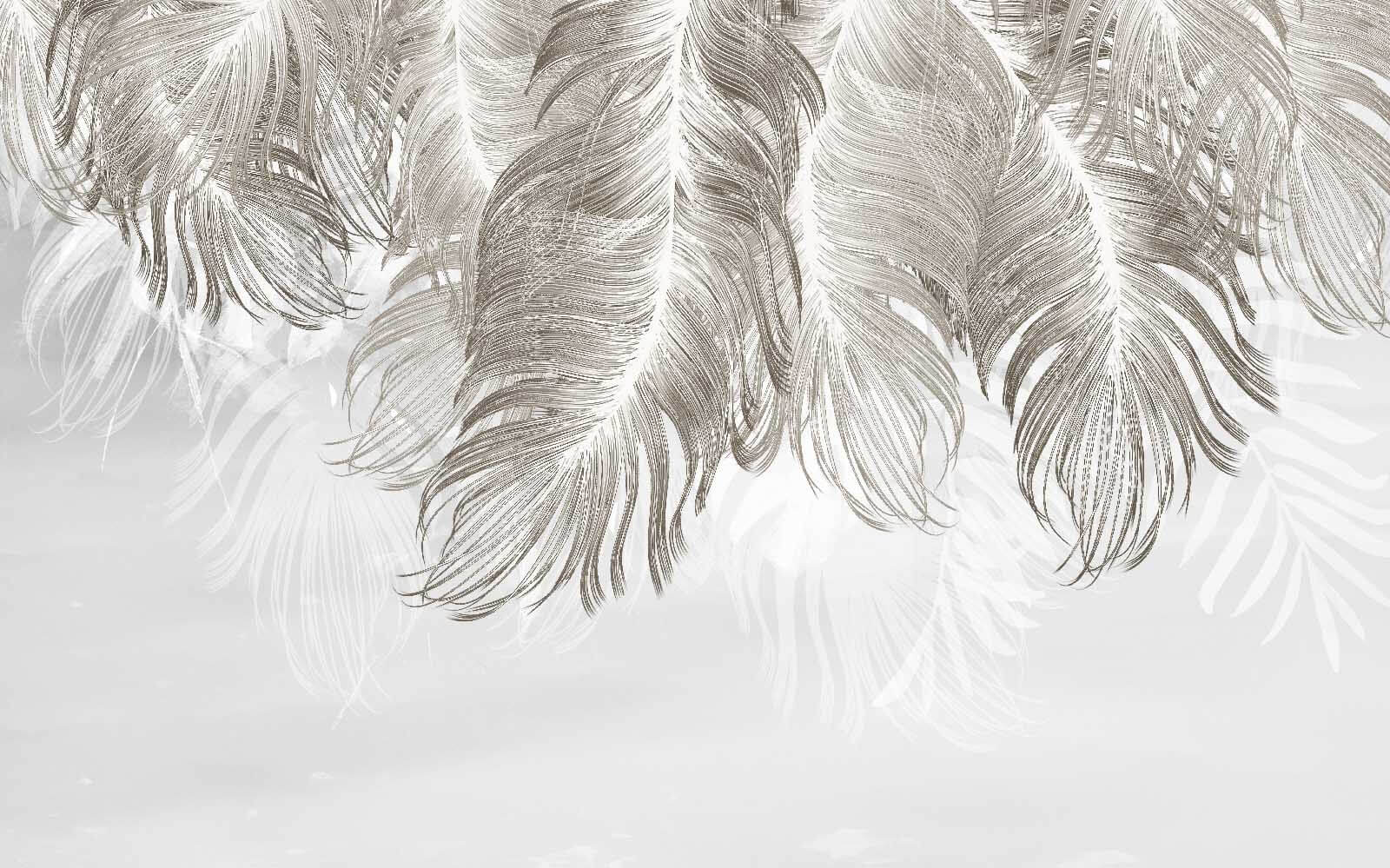 Plumes délicates dans des teintes douces u04973p - Plumes délicates dans des teintes douces - tegory