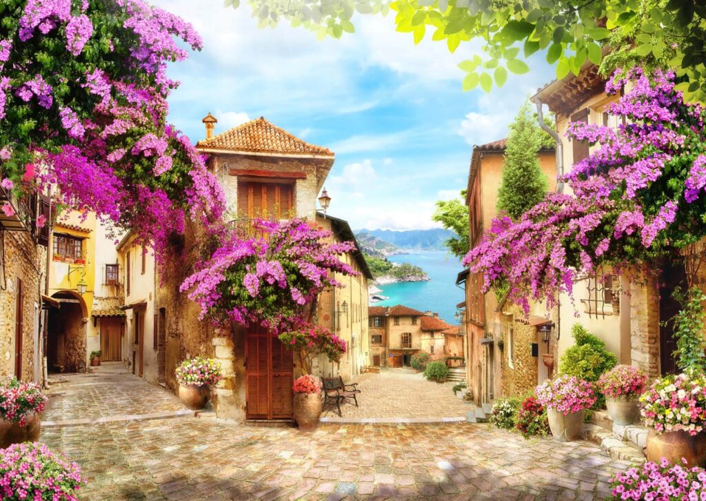 Rue avec fleurs et arbres Rue avec fleurs et arbres