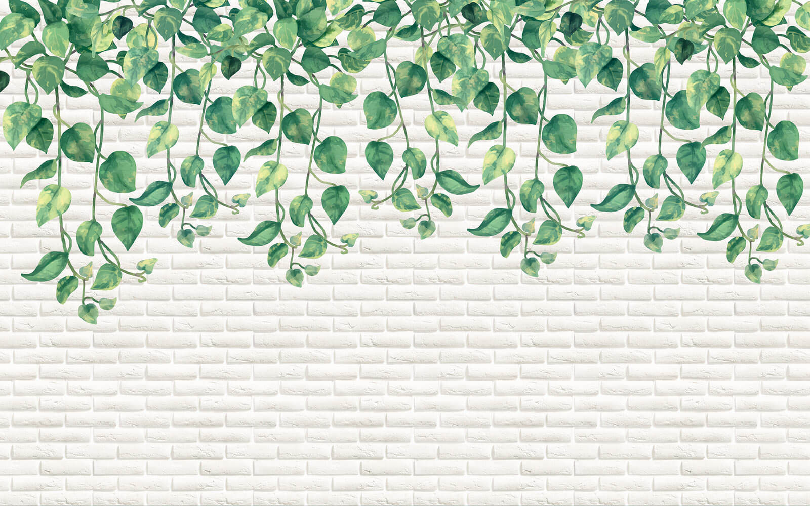 Mur de briques blanches avec des feuilles vertes u06501p - Mur de briques blanches avec des feuilles vertes - tegory