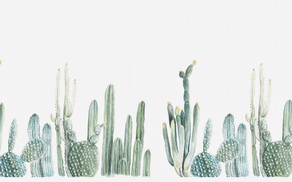 Groupe de cactus sur fond blanc Groupe de cactus sur fond blanc