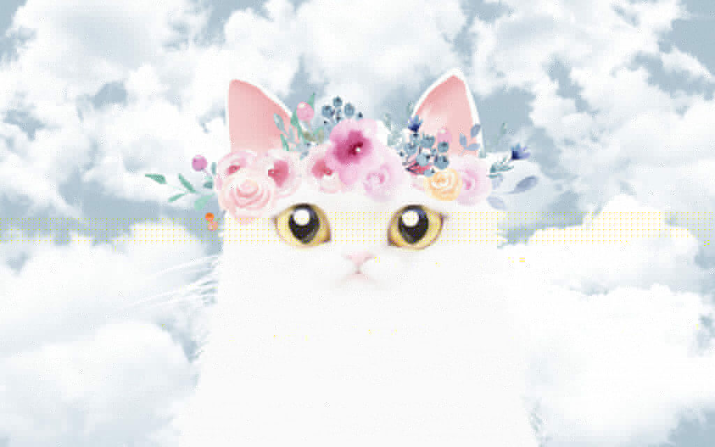 Chat avec des fleurs sur la tête Chat avec des fleurs sur la tête