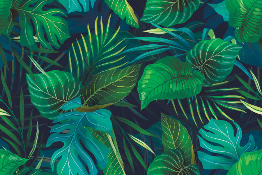 Une verdure luxuriante aux couleurs éclatantes