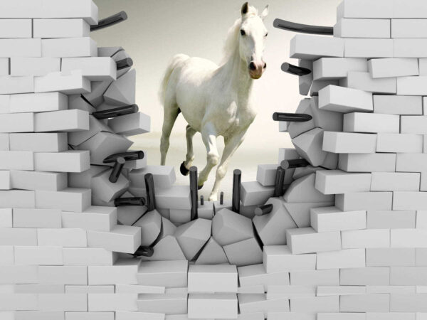 Cheval traversant un mur Cheval traversant un mur
