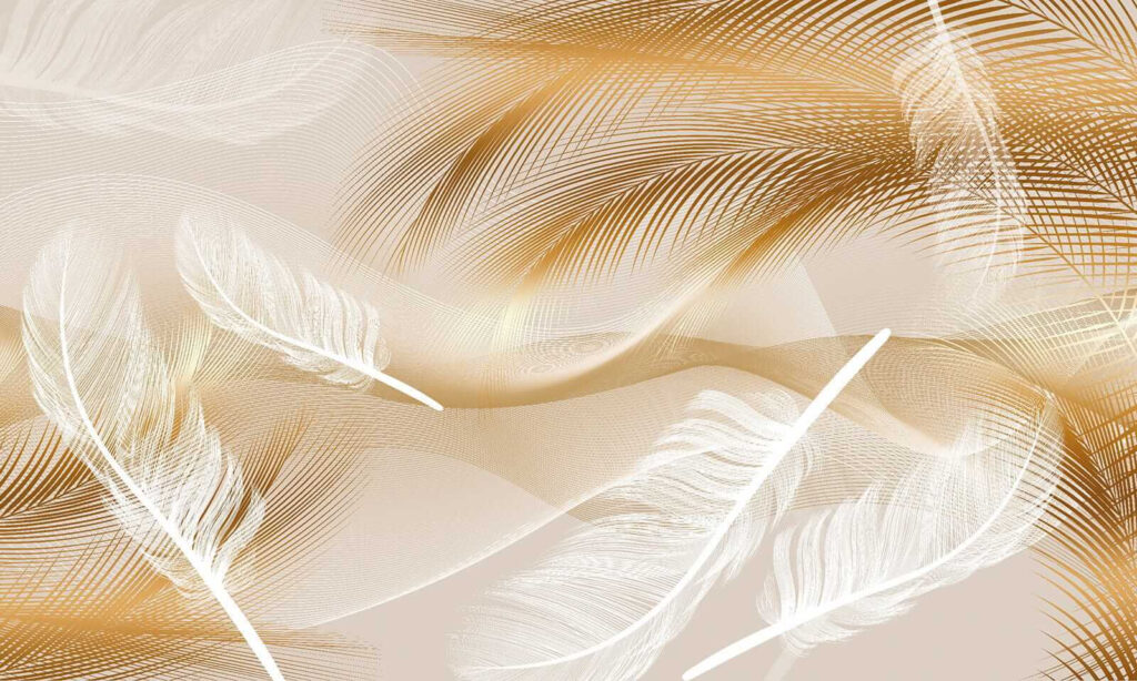 Plumes élégantes en vagues douces. Plumes élégantes en vagues douces.