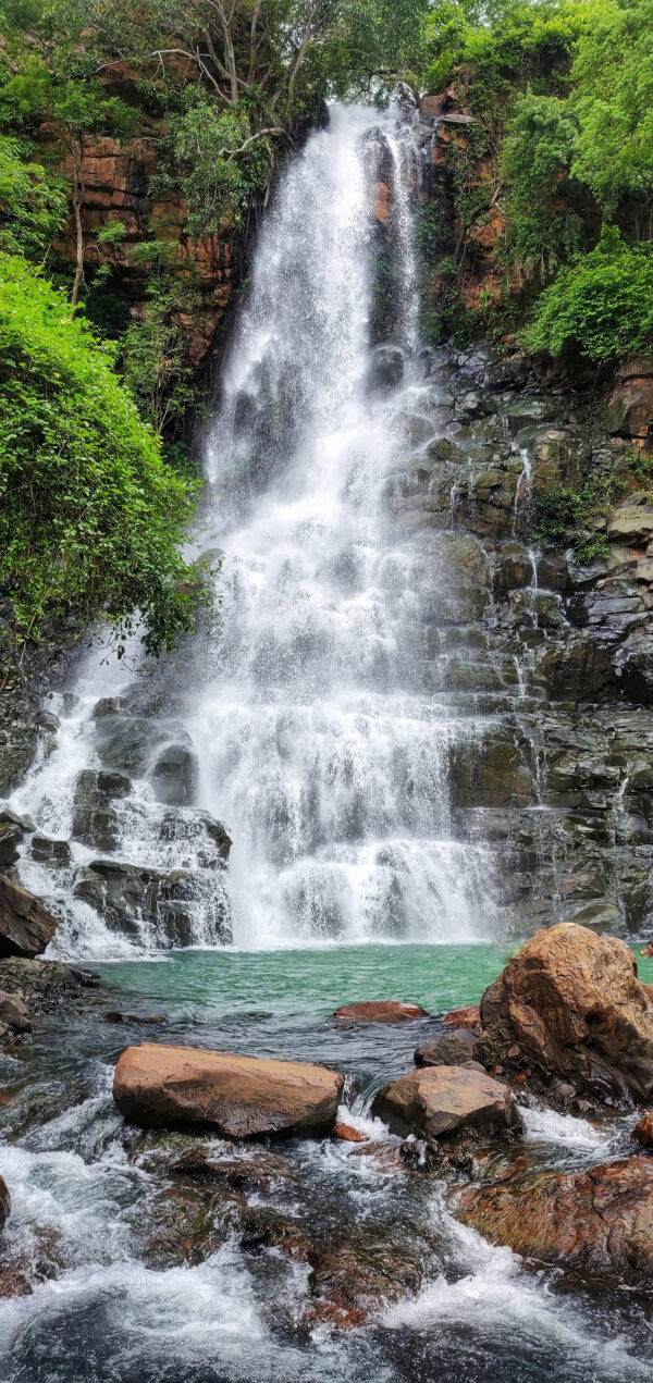 Cascade avec rochers et arbres Cascade avec rochers et arbres