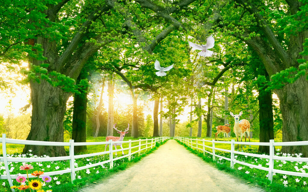 Chemin avec des arbres, une clôture blanche et des cerfs Chemin avec des arbres, une clôture blanche et des cerfs