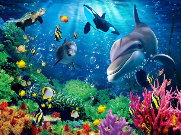 Groupe de poissons nageant dans l'eau Groupe de poissons nageant dans l'eau