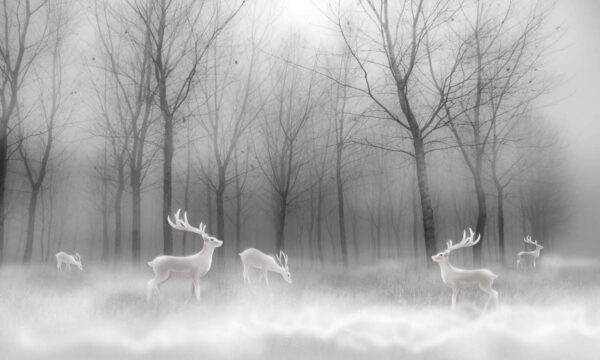Groupe de cerfs blancs dans une forêt brumeuse u19701p 600x360 - Groupe de cerfs blancs dans une forêt brumeuse - tegory