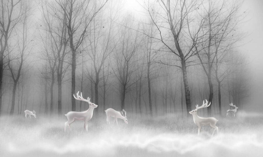 Groupe de cerfs blancs dans une forêt brumeuse u19701p 900x540 - Groupe de cerfs blancs dans une forêt brumeuse - tegory