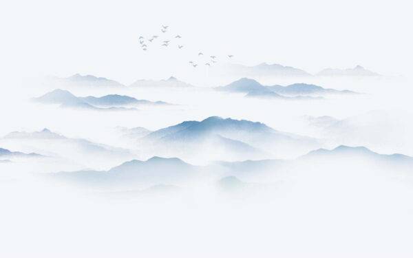 Oiseaux volant au-dessus d'une chaîne de montagnes brumeuse Oiseaux volant au-dessus d'une chaîne de montagnes brumeuse
