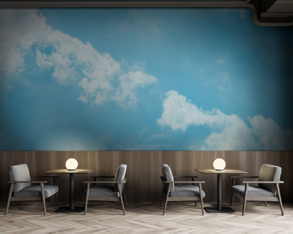 Ciel bleu avec nuages u23539piz137m 600x480 - Ciel bleu avec nuages - tegory