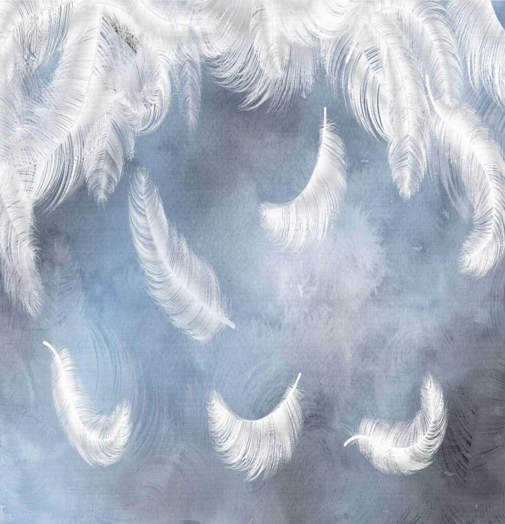 Plumes blanches sur fond bleu Plumes blanches sur fond bleu