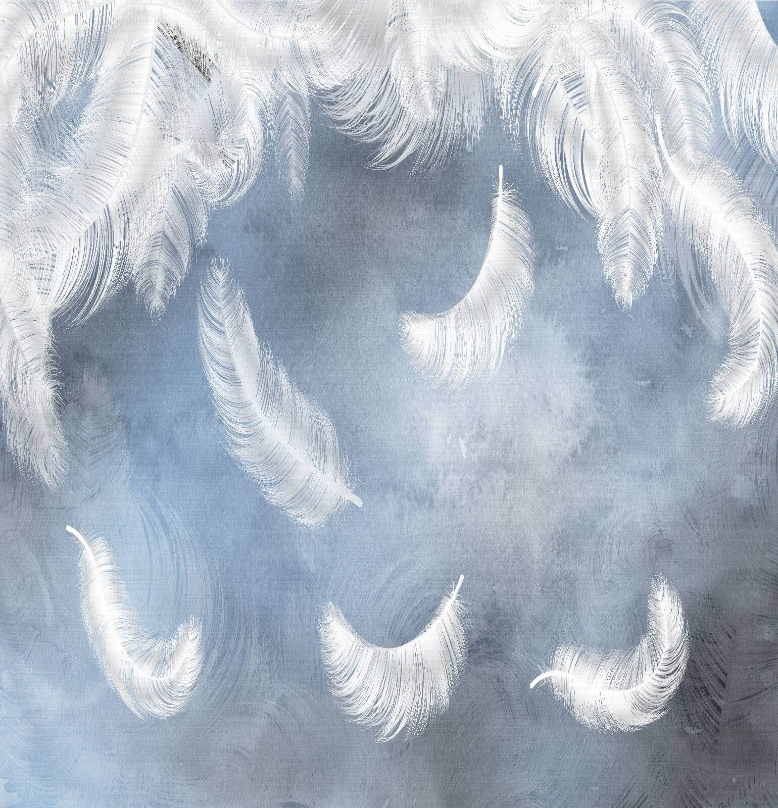 u23747p - Plumes blanches sur fond bleu - tegory