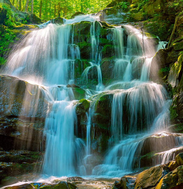 Chute d'eau dans les bois Chute d'eau dans les bois