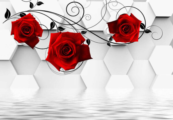 Papier peint avec des roses rouges et des vignes noires Papier peint avec des roses rouges et des vignes noires
