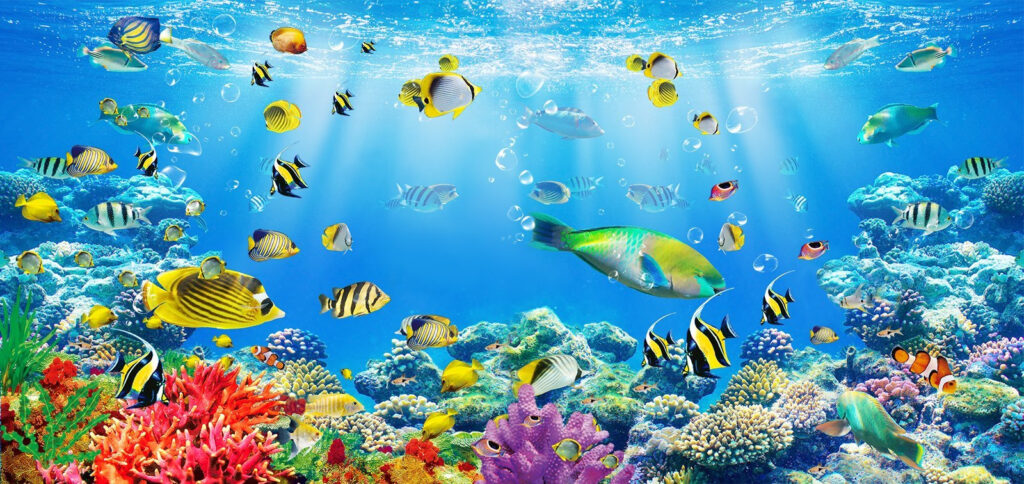 Groupe de poissons nageant dans l'eau Groupe de poissons nageant dans l'eau