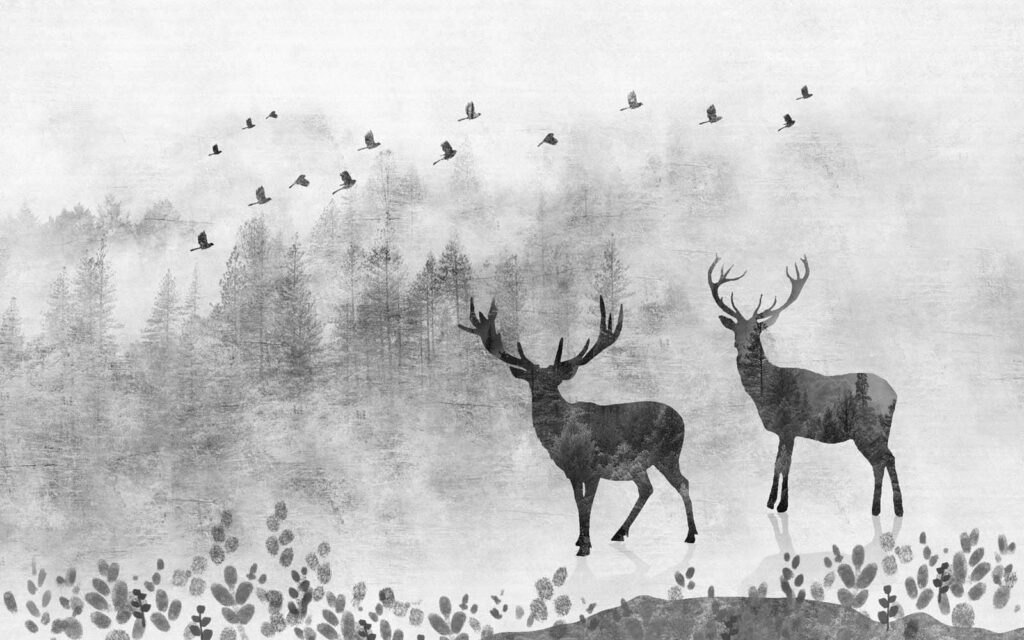 Couple de cerfs dans une forêt Couple de cerfs dans une forêt