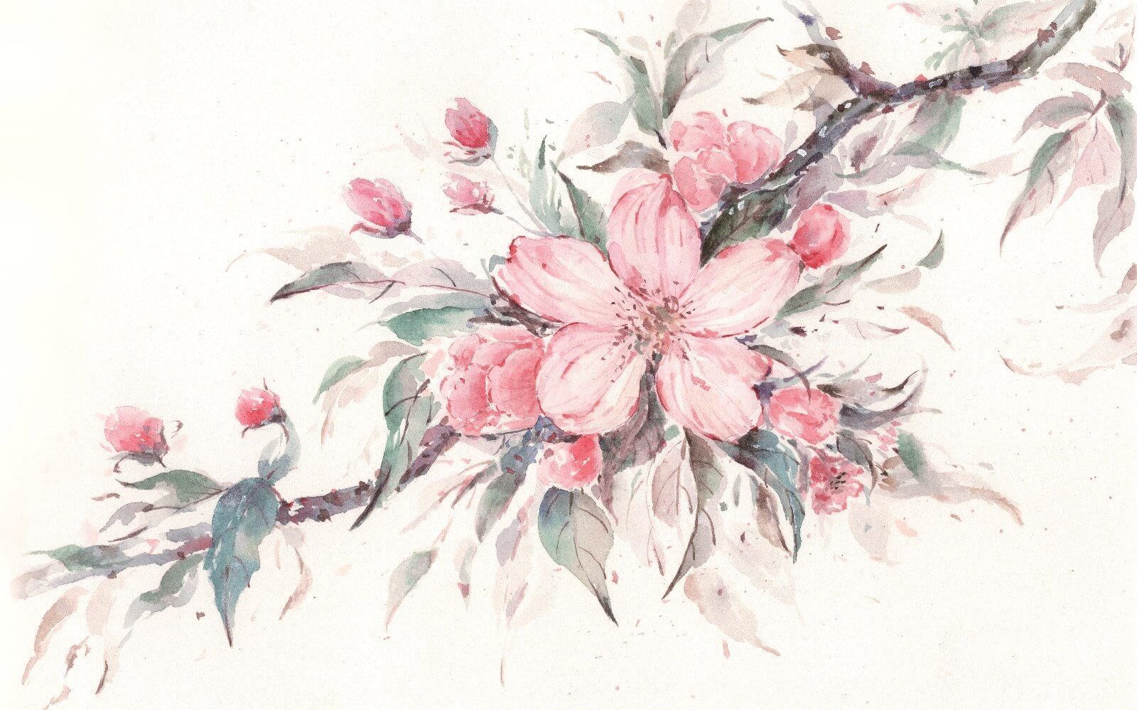 Peinture de fleurs roses sur une branche u29797p - Peinture de fleurs roses sur une branche - tegory