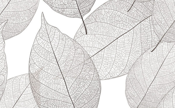 Motifs de feuilles délicats dans l'espace blanc Motifs de feuilles délicats dans l'espace blanc