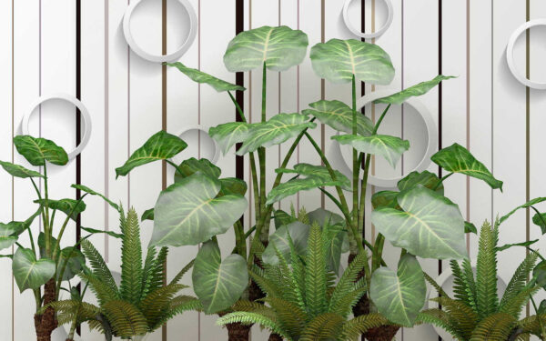 Plante à feuilles vertes Plante à feuilles vertes