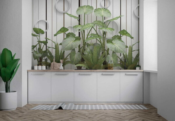 Plante à feuilles vertes Plante à feuilles vertes
