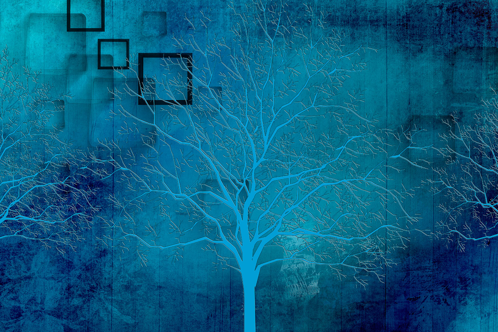 u35839p - Arbre sans feuilles - tegory