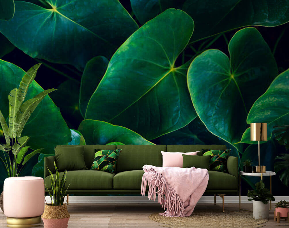 u35988pig1m - Des feuilles vertes et luxuriantes en harmonie - tegory