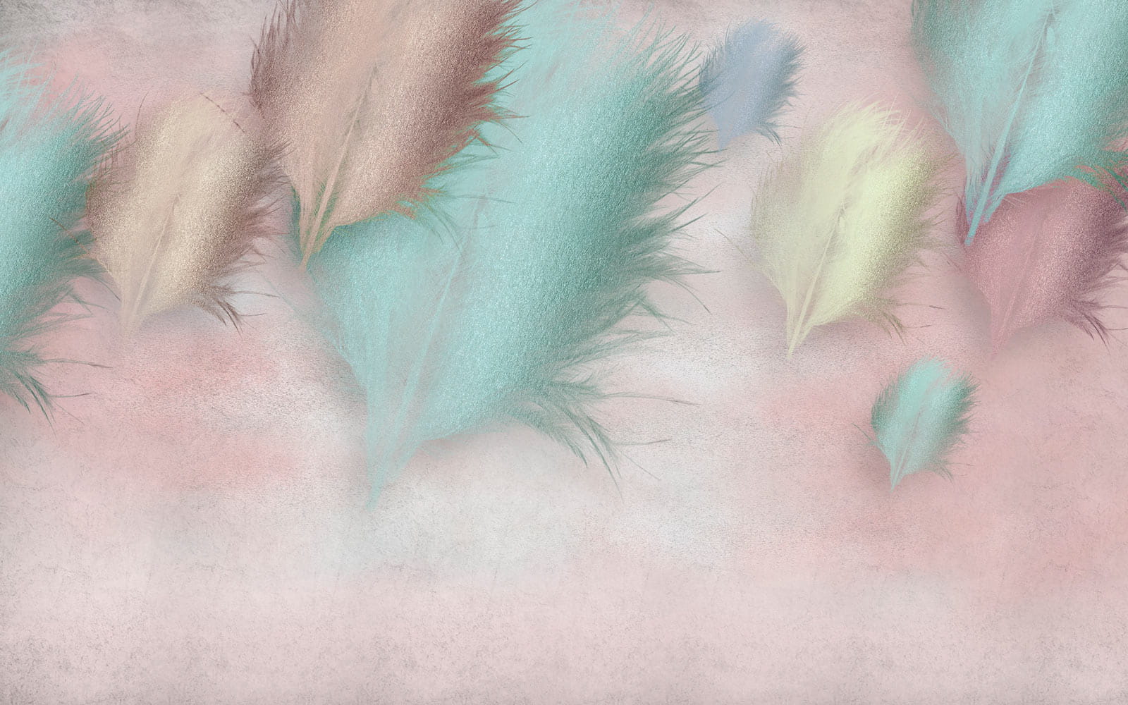 Groupe de plumes sur fond rose u41743p - Groupe de plumes sur fond rose - tegory