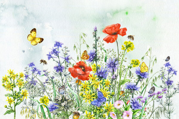 Peinture de fleurs et de papillons Peinture de fleurs et de papillons