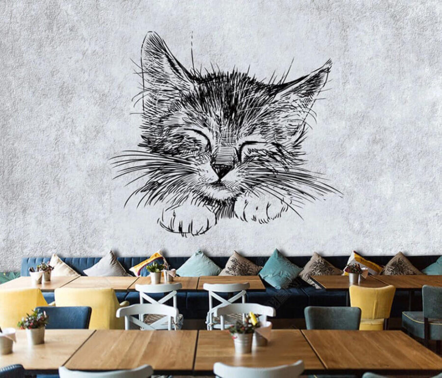 Dessin d'un chat Dessin d'un chat