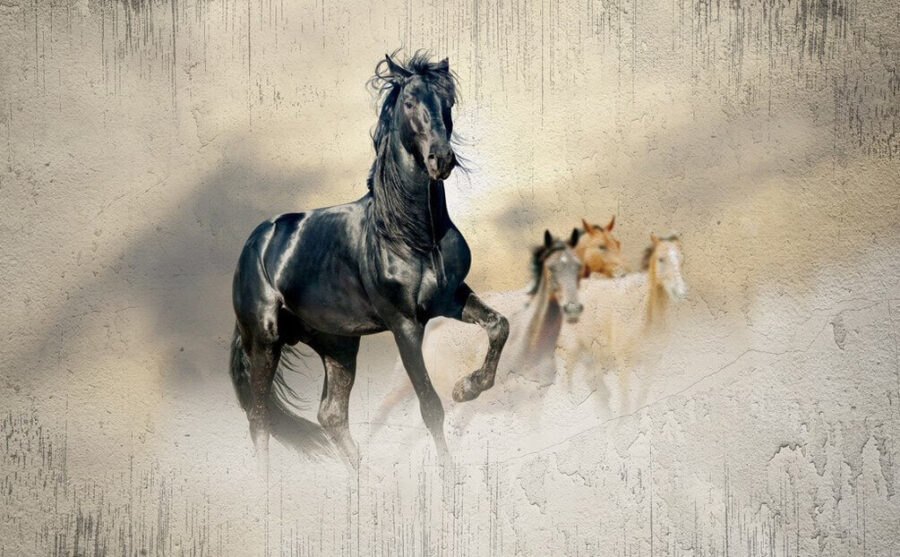 Cheval noir courant dans le vent