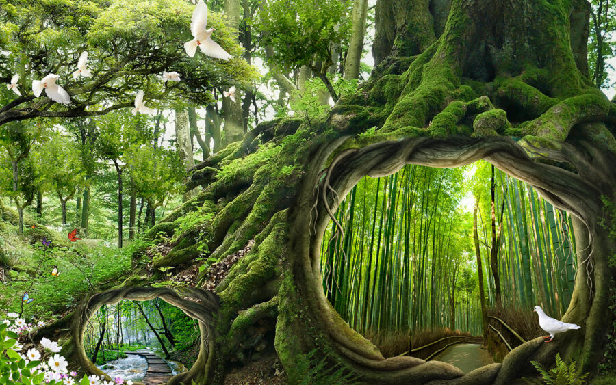 Arbre avec un trou au milieu