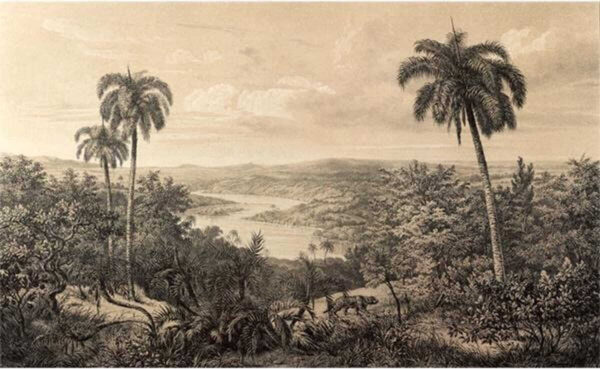 Paysage avec des arbres et une rivière Paysage avec des arbres et une rivière