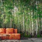 Papier peint Groupe d'arbres dans une forêt