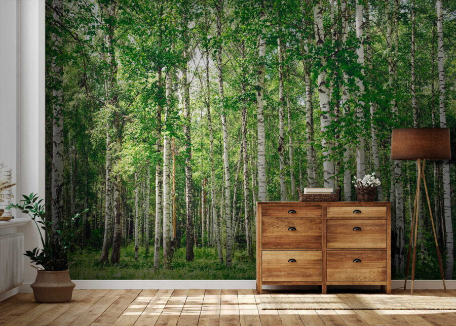 Groupe d'arbres dans une forêt