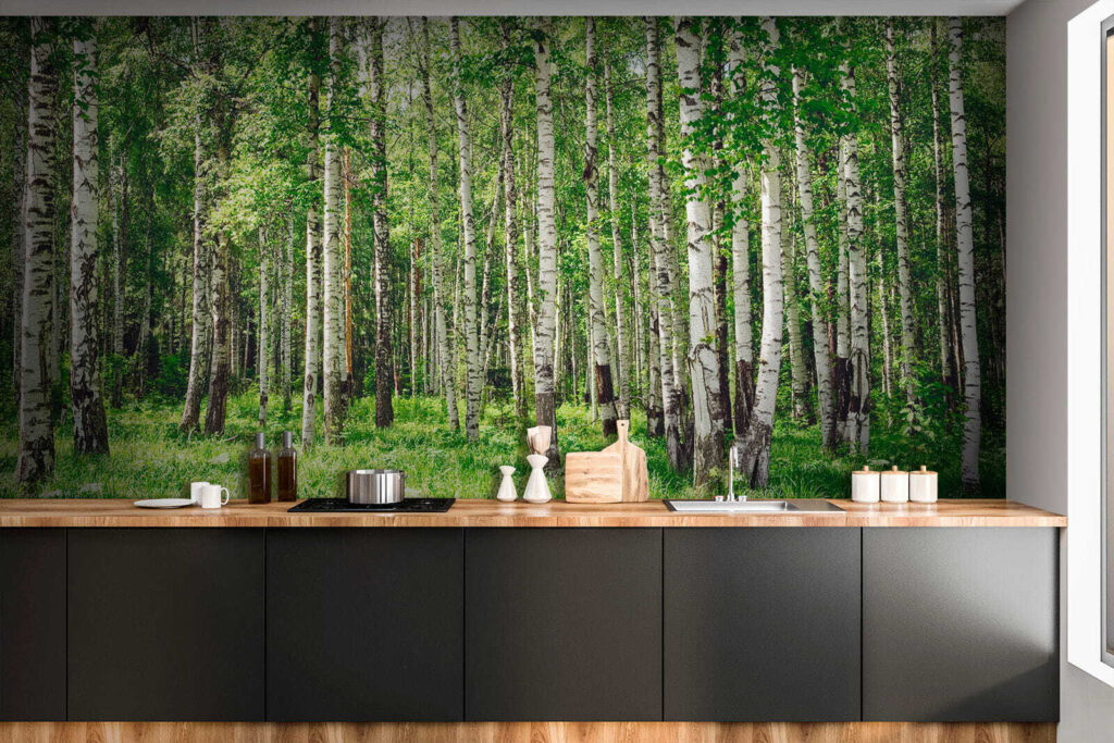 Group of trees in a forest Group of trees in a forest