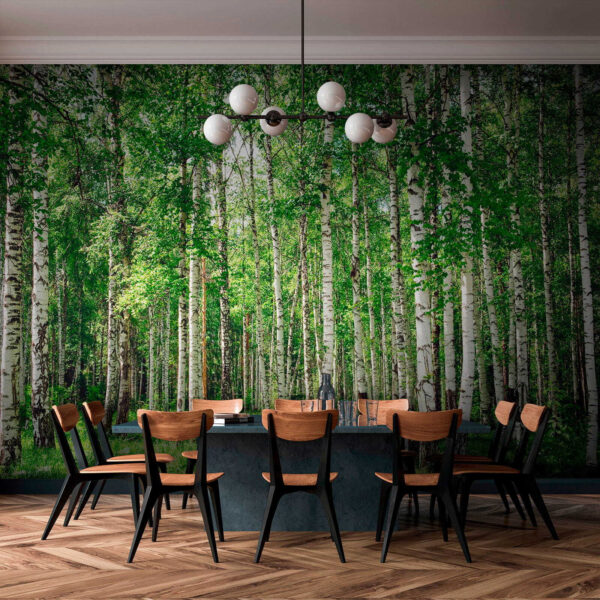 Groupe d'arbres dans une forêt Groupe d'arbres dans une forêt
