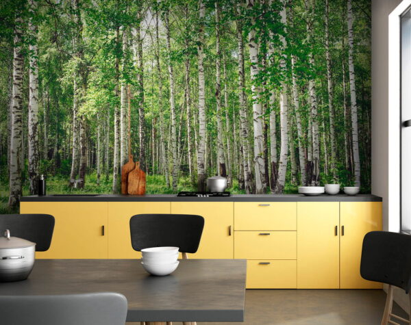 Groupe d'arbres dans une forêt Groupe d'arbres dans une forêt