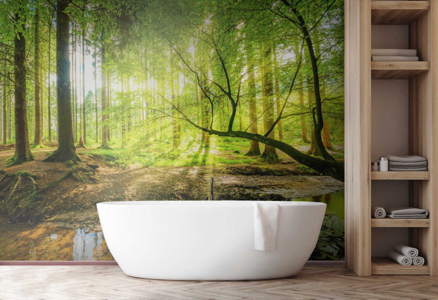 Stream in a forest Stream in a forest