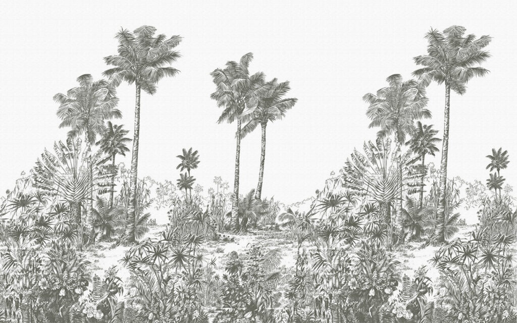 Dessin de palmiers Dessin de palmiers