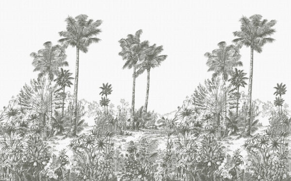 Dessin de palmiers Dessin de palmiers
