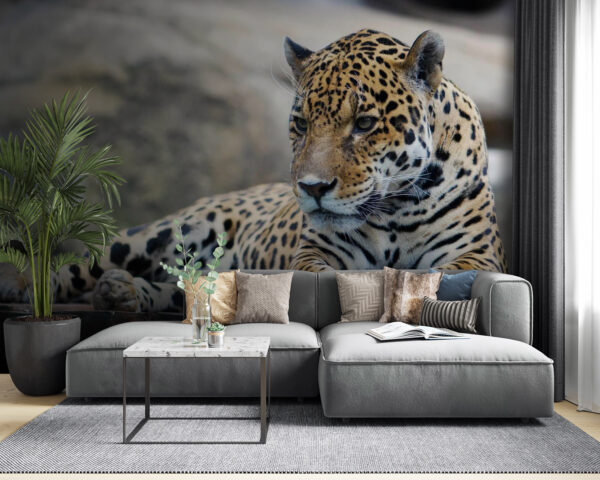 Léopard couché sur une surface en bois Léopard couché sur une surface en bois