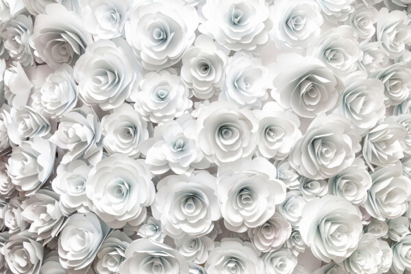 Groupe de fleurs blanches Groupe de fleurs blanches