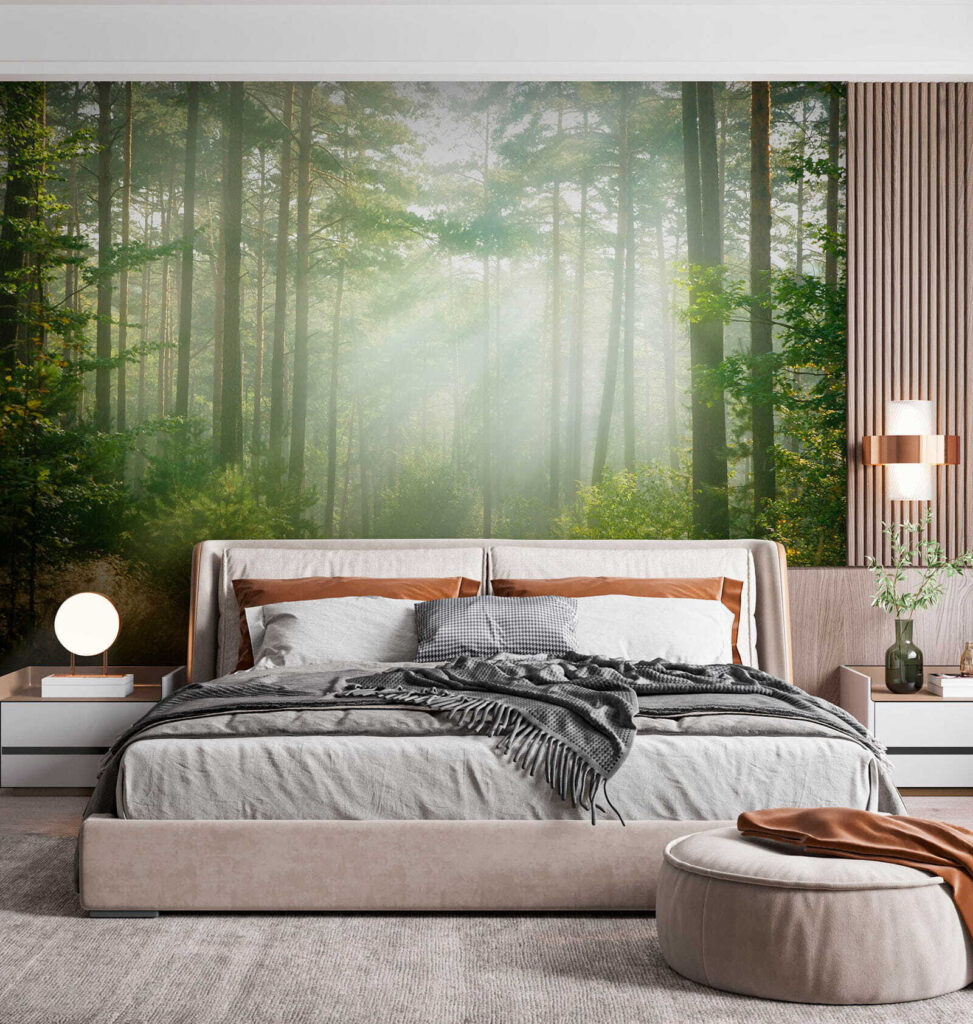 Path through a forest with trees and bushes Path through a forest with trees and bushes