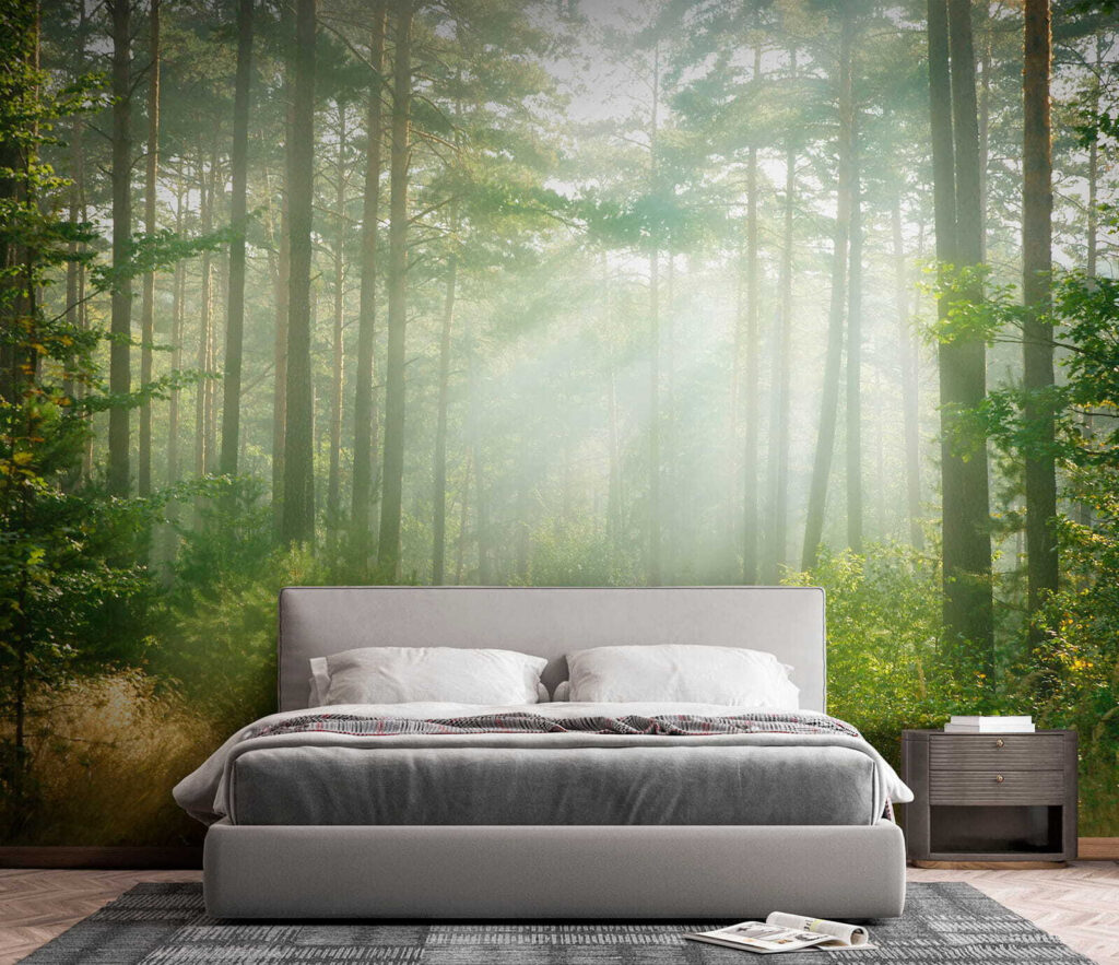 Path through a forest with trees and bushes Path through a forest with trees and bushes