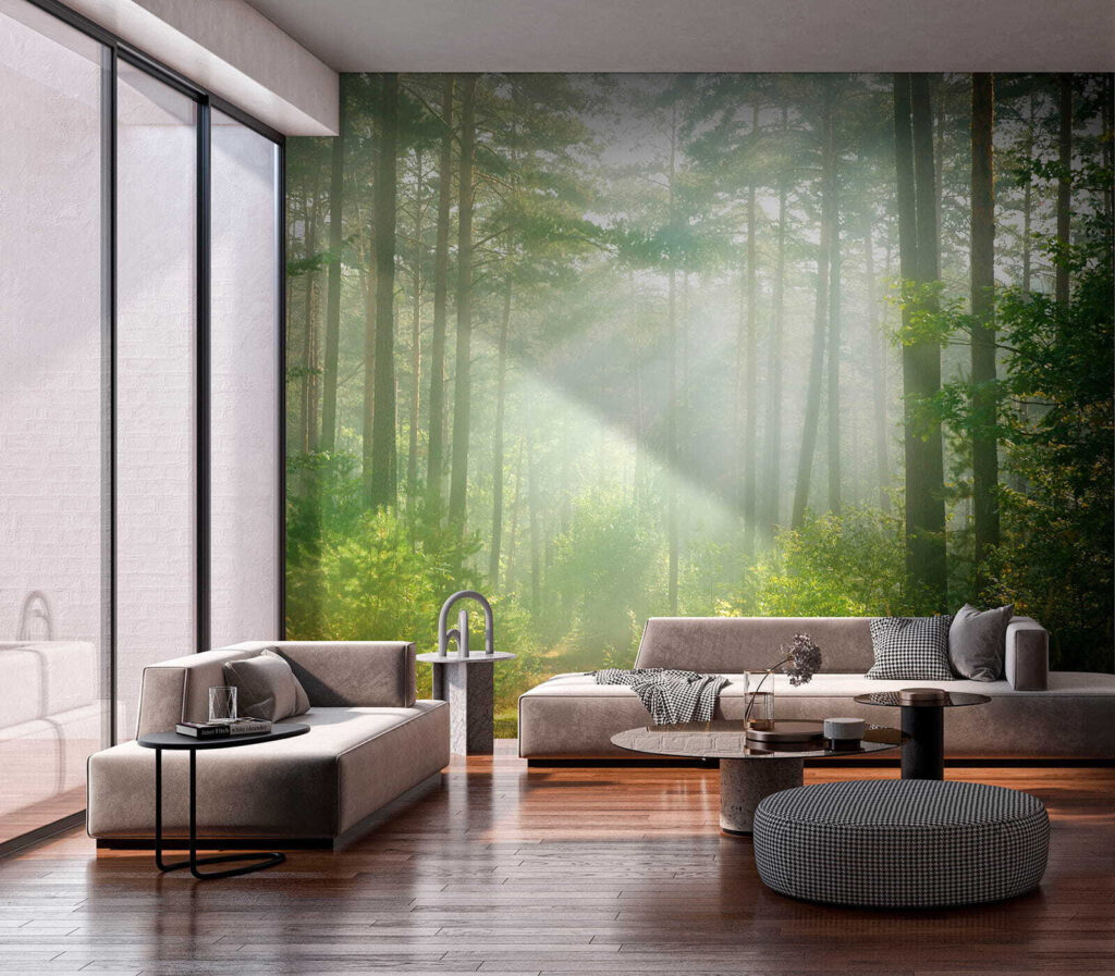 Path through a forest with trees and bushes Path through a forest with trees and bushes