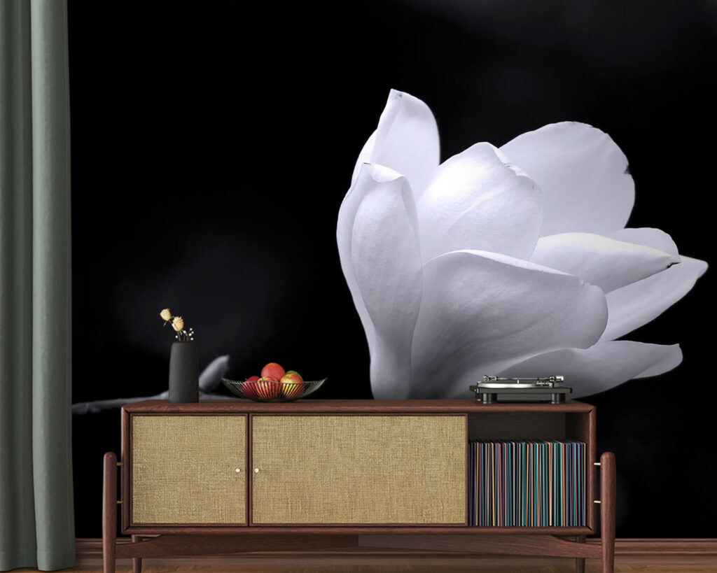 Fleur blanche sur une branche u56196pig20 1024x819 - Fleur blanche sur une branche - tegory