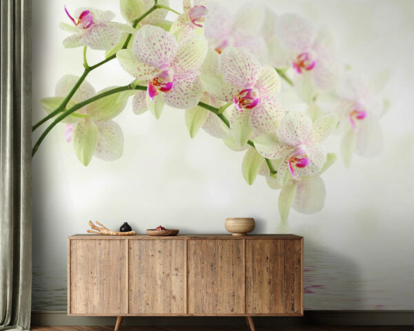 Orchidées délicates sur un fond d'eau douce. Orchidées délicates sur un fond d'eau douce.